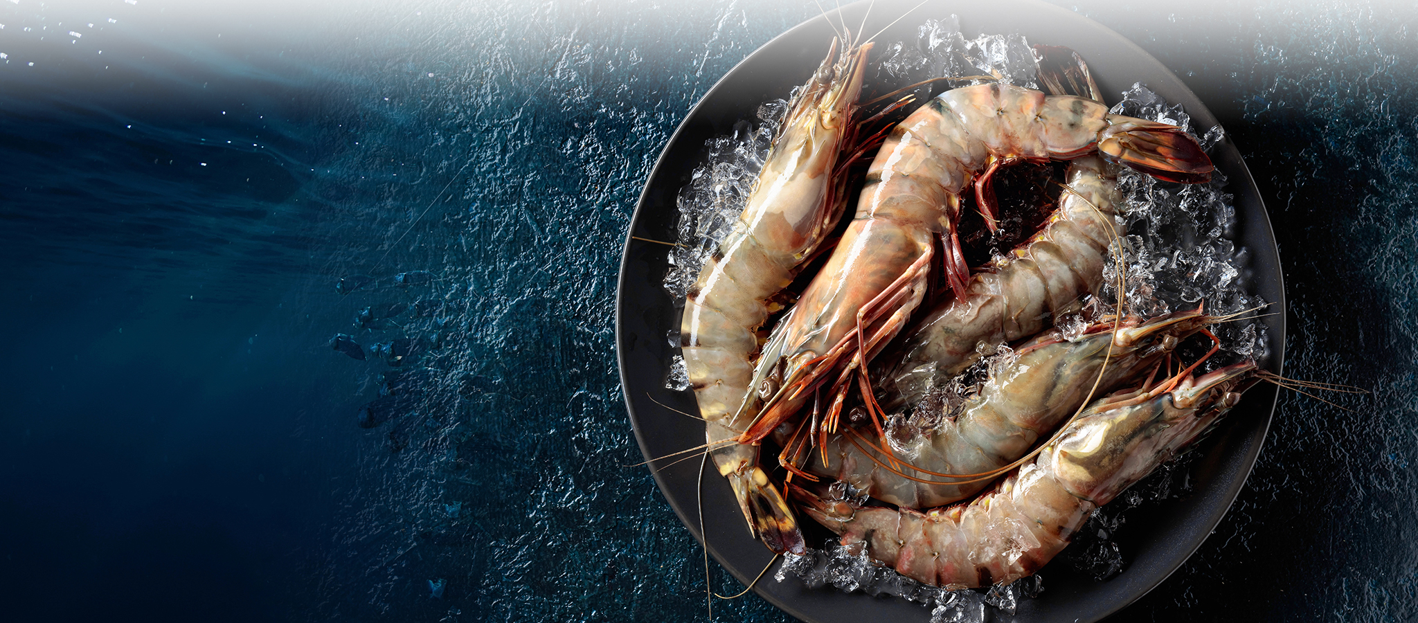 Freshmare S.r.l. – Scopri la nostra selezione di gamberi e piatti di mare freschissimi: qualità eccellente, direttamente dal mare alla tua tavola.